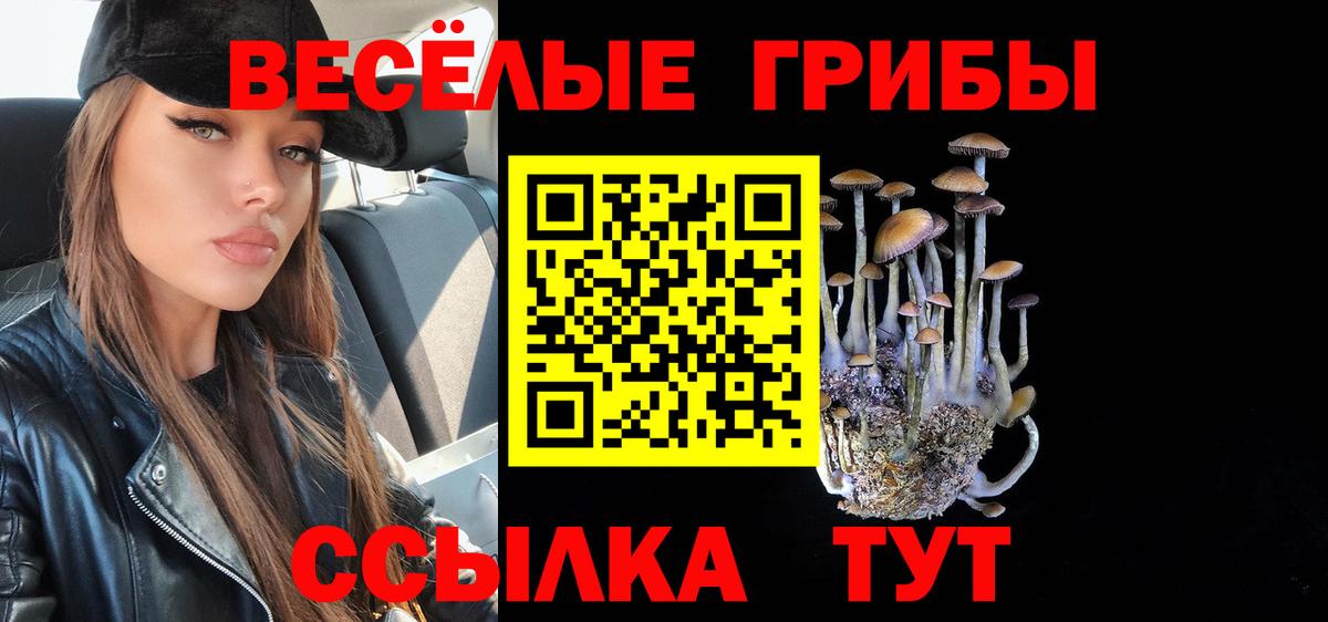 Ялта  Псилоцибиновые грибы Magic Shrooms  Вход с VPN 